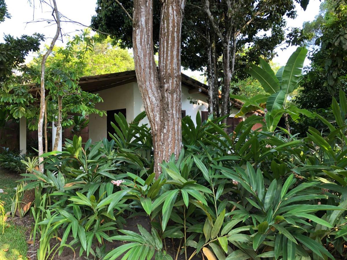 Casa Aracua Trancoso Villa Exterior foto